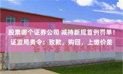 股票哪个证券公司 减持新规首例罚单！证监局责令：致歉，购回，上缴价差